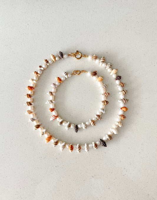 PULSEIRA FLORIDA