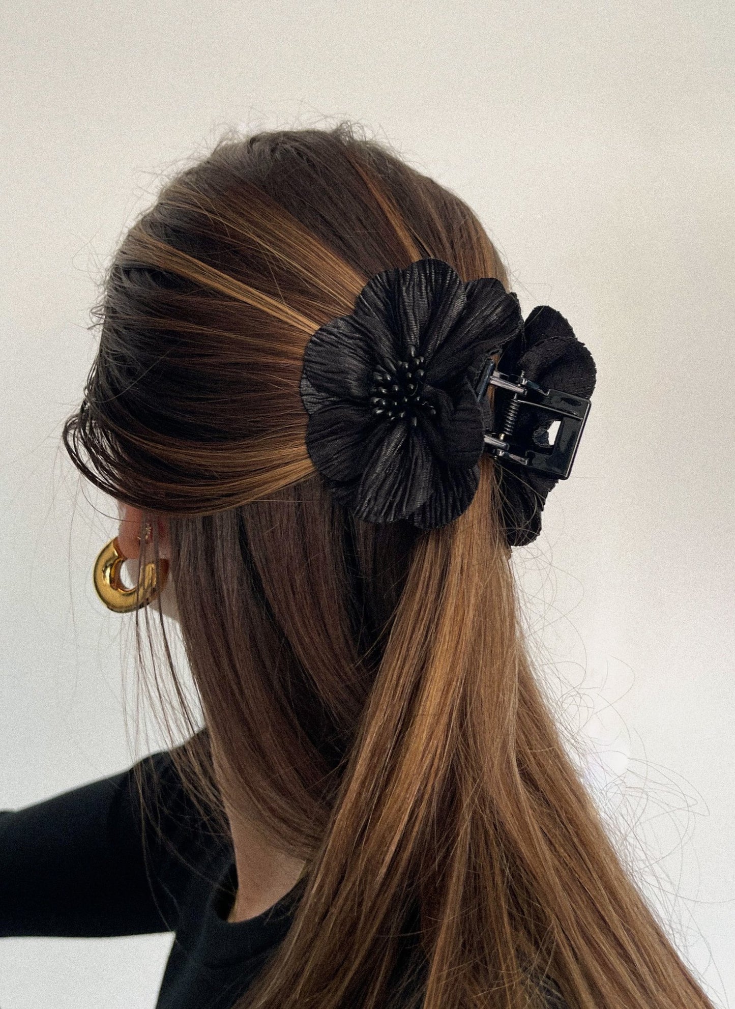 PINZA PARA EL PELO ASTER 